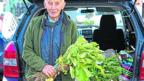 Ballinalee's Ned McEvoy, aged 93, explains why he continues to sell vegetables in Longford town each week 