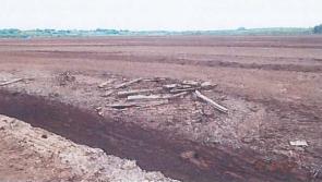 An Taisce says Minister Heather Humphreys must act to save the Bronze Age roadway at Mayne Bog