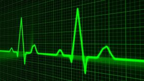 Visitor ban at Regional Hospital Mullingar due to vomiting bug outbreak