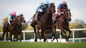 Granard woman in French world show jumping event 