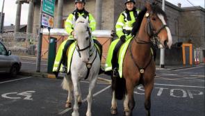 Longford Summer Festival -  big emphasis on security as Garda Mounted Unit visit town