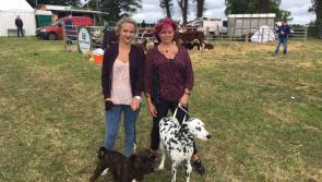 No show like a County Longford show 