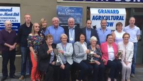 Classes for budding young artists at Granard Show 