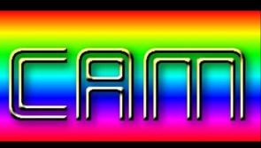 Longford Comhairle na nÓg looking for different cultural groups to get involved in CAM Fest 
