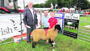 Irish Hereford Society president attends Longford Show 