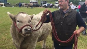 Crowds line out for hugely successful Granard Show
