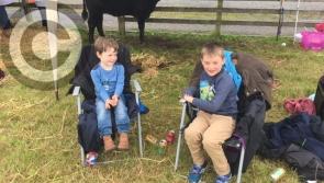 Photo Gallery:  65th Granard Agricultural Show a great success 