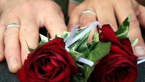 Census Results: Twenty people in same-sex civil partnerships living in Longford