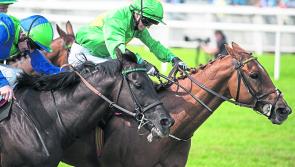 THE PUNTER'S EYE: 'Genie' can work magic to claim Bobbyjo Chase 