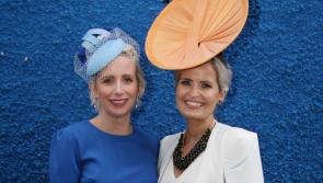 Roscommon Races: Action at Galway Races will provide many pointers for Roscommon racegoers