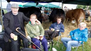 Lots of Longford winners at 60th Arva Show 