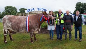 Gallery: Weather fails to dampen spirits as Arva hosts 60th Agricultural Show