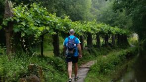 Calling Longford walkers to ‘C’mon the Camino’ and support end-of-life care
