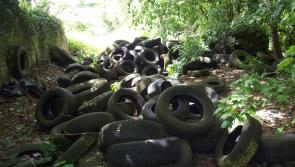 Minister Naughten tackles tyre stockpiles in Longford and around the country