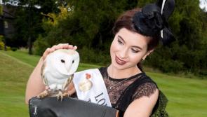 Longford Rose misses out on a place in the TV section of Rose of Tralee