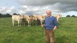 Information evening and farm walk to be held in Mullingar 