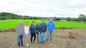 Persistence pays off as UCL Harps end two decade long wait for permanent home on Cavan/Longford border