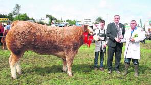 Colmcille Ploughing & Heritage Day on Sunday