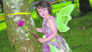 Pictures: Launch of the Ardagh Tree Fairies