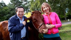 GALLERY: RTÉ all set to give it welly at National Ploughing 2017 