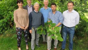 Teagasc urges Longford farmers to watch out for invasive alien plant species