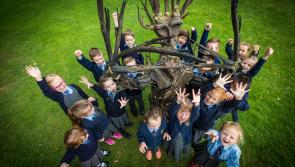 Primary Schools in Longford encouraged to plant an Oak Tree this Tetra Pak Tree Day