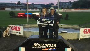 Longford's Drumsna Star in  Boylesports Irish Greyhound Derby semi-final