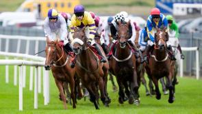 Curtain comes down on racing at Roscommon 