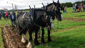 Weather update for the National Ploughing Championships 2017 