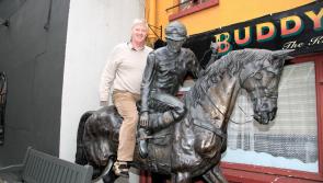 Longford architect's hilarious demands of GAA chiefs to end his 'ongoing nightmare'