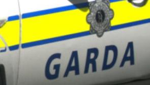 Gardaí seeking information after male pedestrian dies following Carlow road traffic accident 