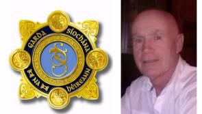 Gardaí  seek public's assistance to find missing Kildare man 