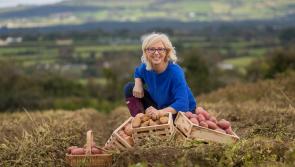 Celebrate the health benefits of Longford and Ireland’s most popular vegetable on #NationalPotatoDay