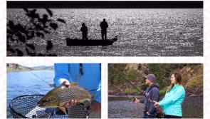 Anglers seek urgent meeting with Minister and Fisheries Chairman on pike control