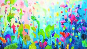 Longford's Backstage Theatre opens its doors to 'Eve's Garden-Stories from the Wild'