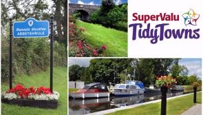 SuperValu Tidy Towns 2017:  Abbeyshrule urged to embrace Center Parcs Longford Forest