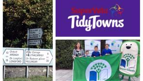 SuperValu Tidy Towns 2017: Additional signposting suggested for Colehill as it puts best foot forward