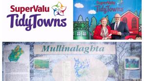 SuperValu Tidy Towns 2017: Mullinalaghta praised for harnessing  goodwill of  greater community within parish