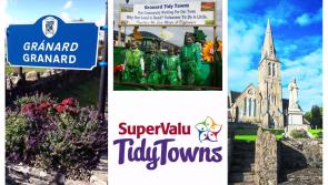 SuperValu Tidy Towns 2017: Granard must voice concerns with Longford County Council  regarding non fulfillment of regeneration commitment