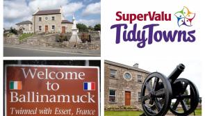 SuperValu Tidy Towns 2017: Establishment of a Junior Tidy Towns Committee recommended for historic Ballinamuck 