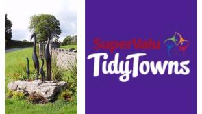 SuperValu Tidy Towns 2017: Proactive committee ensures that Newtowncashel retains its very high standards