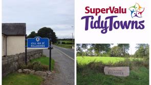 SuperValu Tidy Towns 2017: Tidy Towns adjudicator experiences hazardous N63 during Killashee walkabout