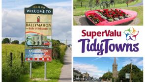 SuperValu Tidy Towns 2017: Ballymahon commended for its approach ahead of Center Parcs Longford Forest becoming operational