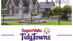 SuperValu Tidy Towns 2017: Ardagh was the 'template' that many other committees aspired to down the years