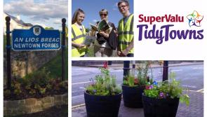 SuperValu Tidy Towns 2017: Newtownforbes 
