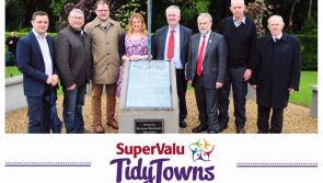 SuperValu Tidy Towns 2017: Derrahaun Tidy Towns initiated 1916 project one of the best