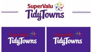 SuperValu Tidy Towns 2017: Pride of place among the people of Ballycloughan.