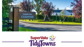 SuperValu Tidy Towns 2017: ‘Cullyfad is a place that one could relax in away from all the hustle and bustle of modern living’ 