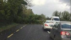 #Longford on RED Alert: Trees down at various locations across county Longford #Ophelia 