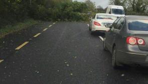 #Ophelia Alert: More than 3,000 homes across County Longford without power 